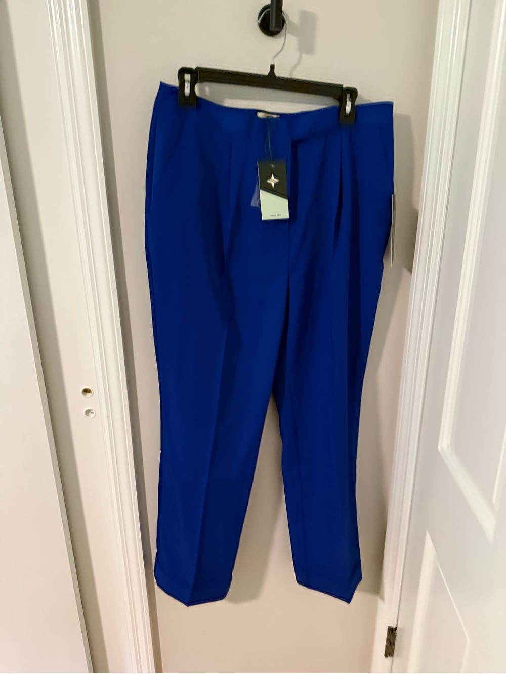 Tuckernuck Cobalt Blue Pleated Cropped Dress Pants